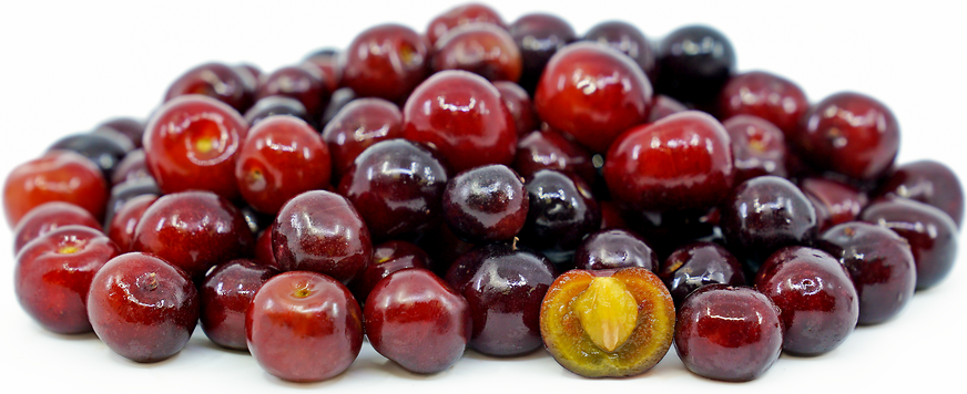 Capulin Cherries Batt