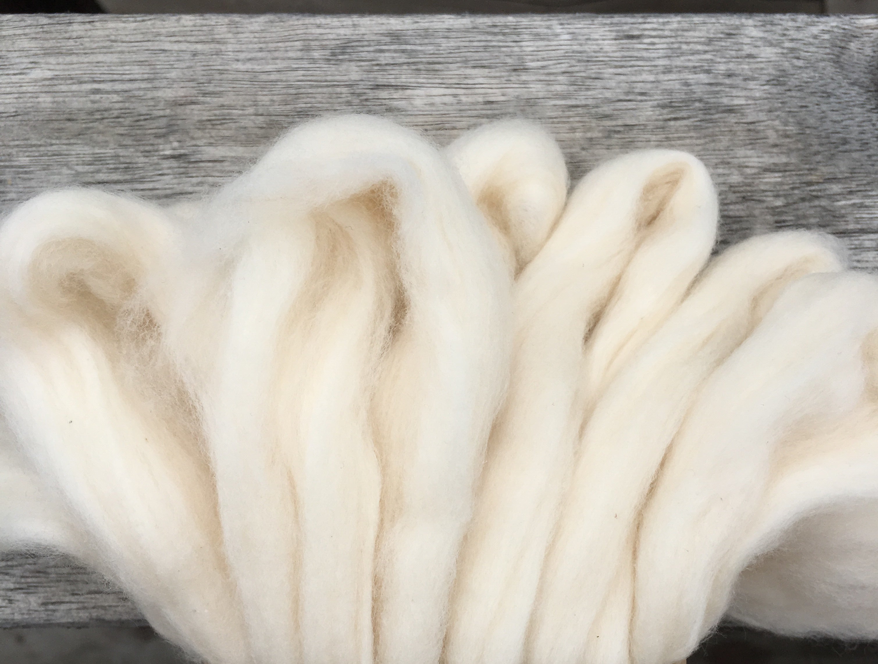 White Pima Cotton, Easy-to-Spin, 25g